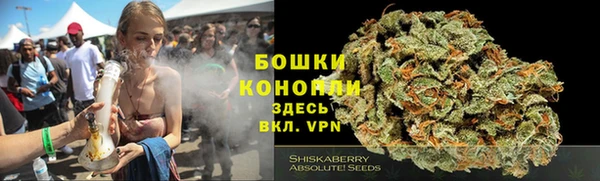 тгк Бородино